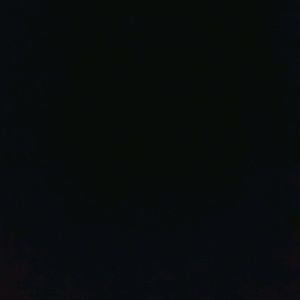 Meet your Posher, Dawson